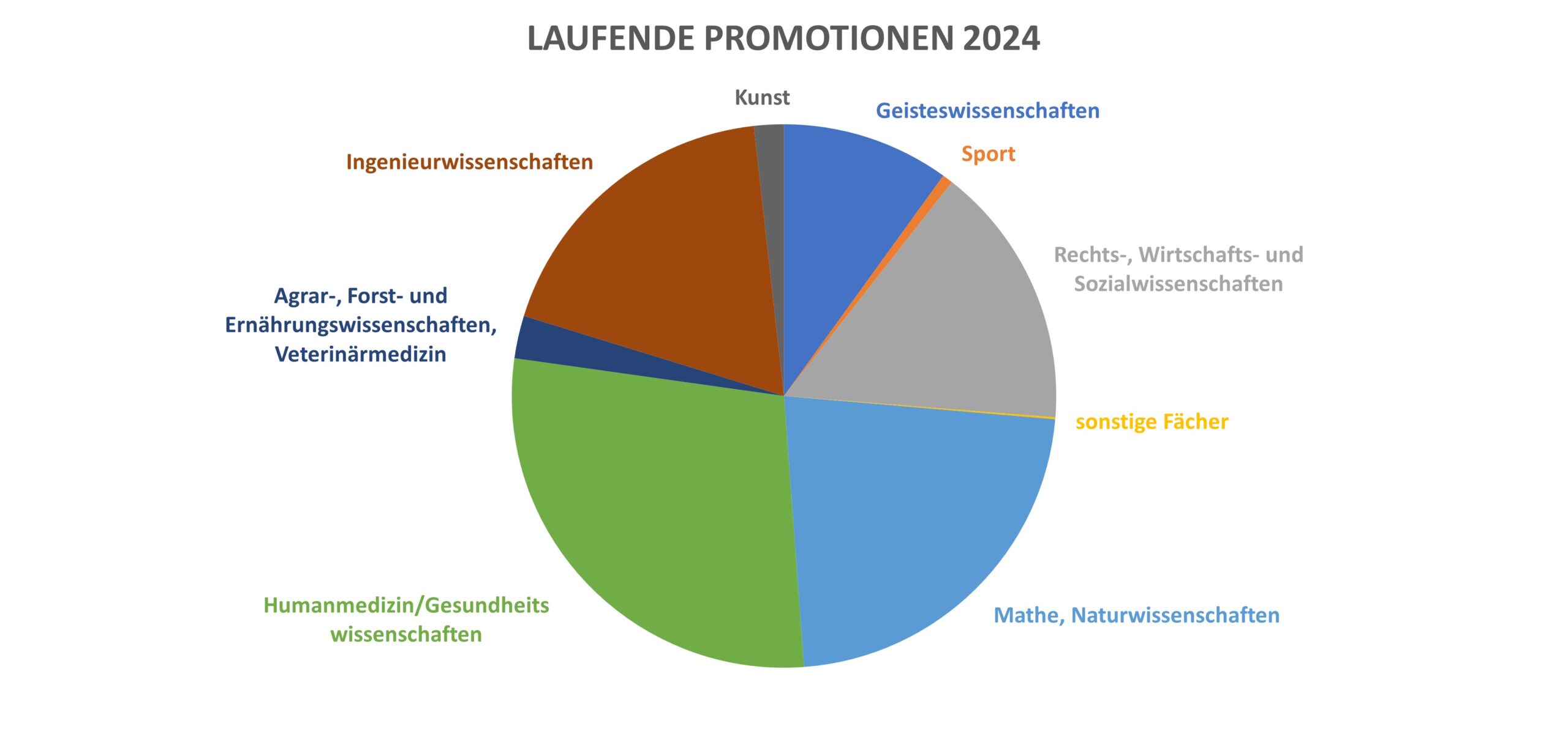 ein Tortendiagramm, das die Verteilung laufender Promotionen 2024 auf verschiedene Fachbereiche zeigt
